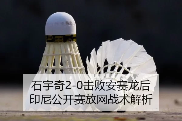 shi-yu-qi-ji-bai-an-sai-long-hou-yin-ni-gong-kai-sai-fang-wang-zhan-shu-jie-xi-2-293.jpg