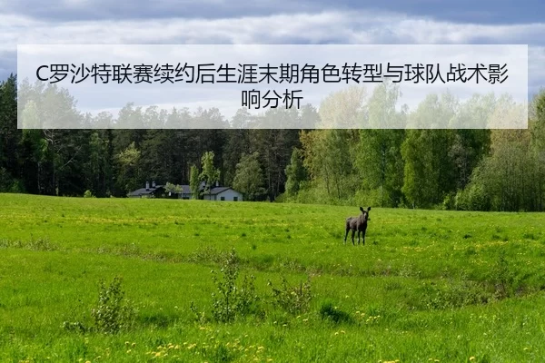 luo-sha-te-lian-sai-xu-yue-hou-sheng-ya-mo-qi-jue-se-zhuan-xing-yu-qiu-dui-zhan-shu-ying-xiang-fen-xi-2-234.jpg